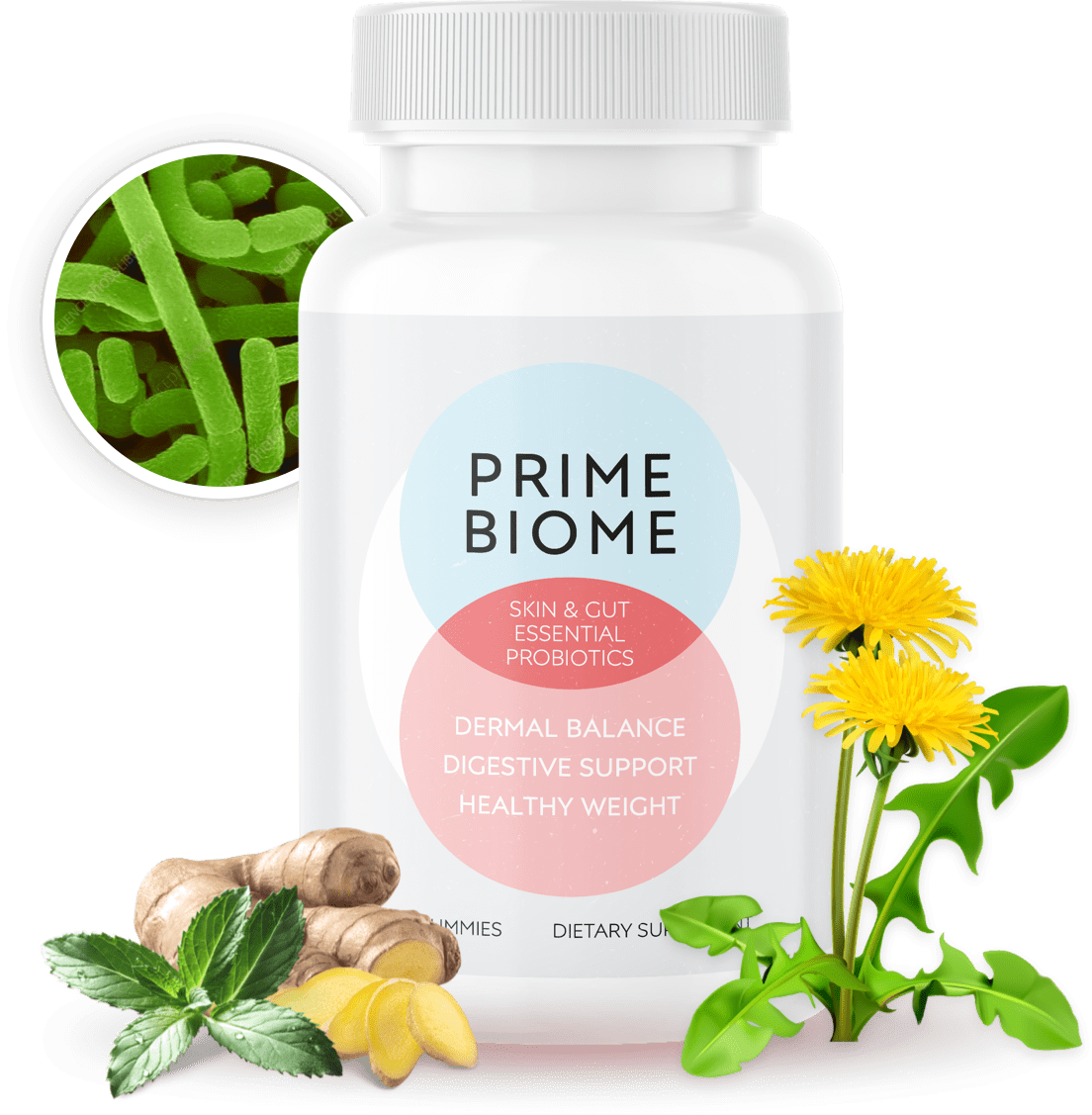 primebiome skin gut